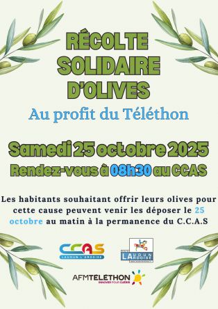 Récolte solidaire d'olives