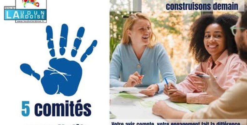 Création des Comités consultatifs